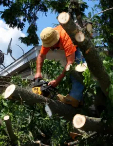 Flying Debris Damage Repair in Arlington VA