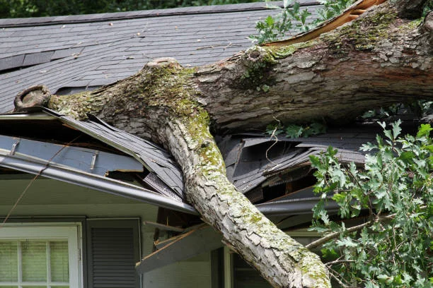 Flying debris damage repair